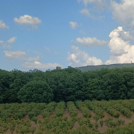 Il Sartore Vetralla Bagian luar foto