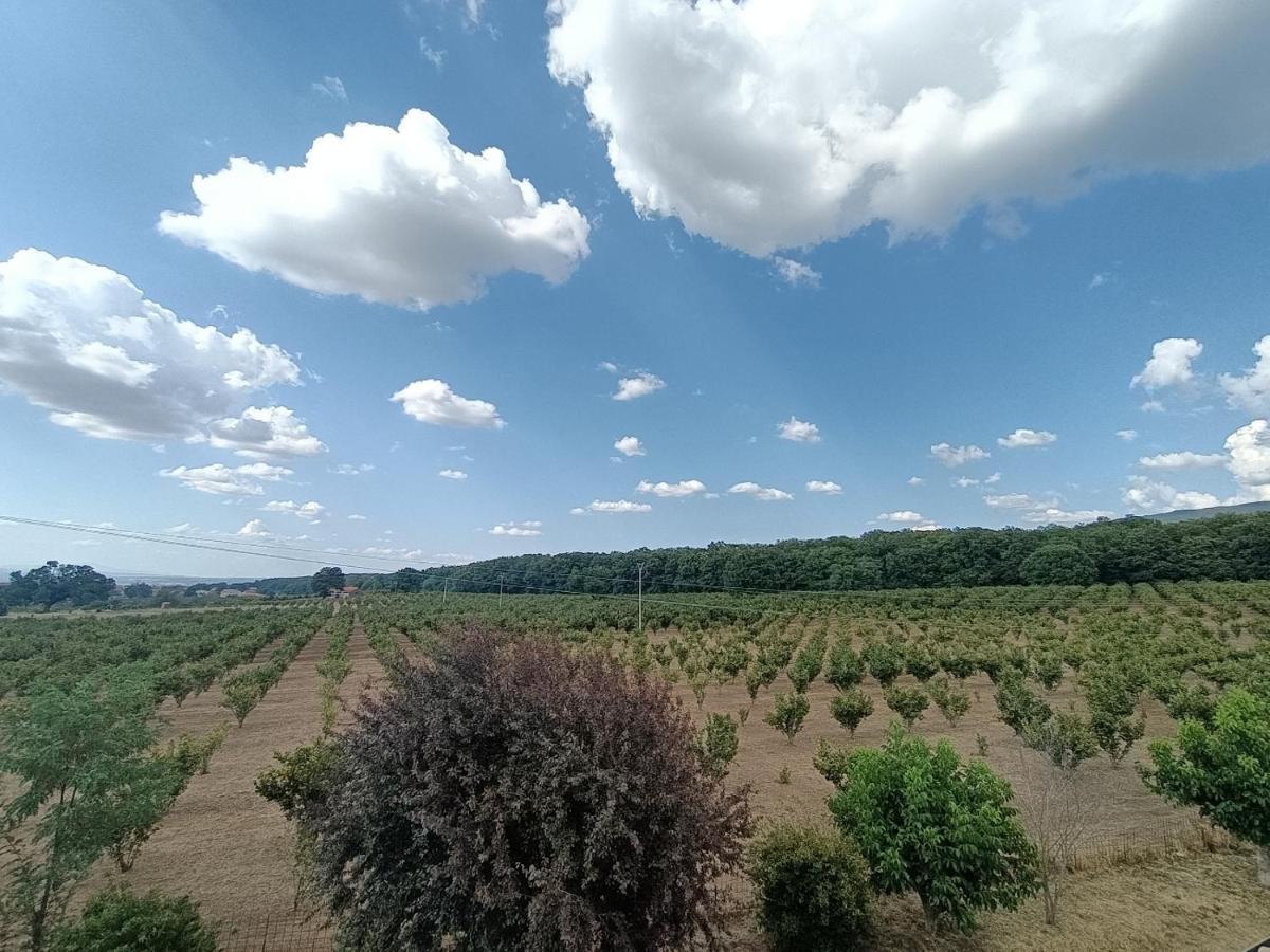 Il Sartore Vetralla Bagian luar foto
